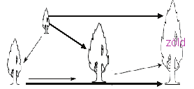 A pirossal megegyező hosszúságú sárkányt nem kell kiszínezni. Tk. 18/4. feladat: alacsonyabb Ennél ez azt jelenti, hogy a magasabbtól az alacsonyabb felé mutat a nyíl.