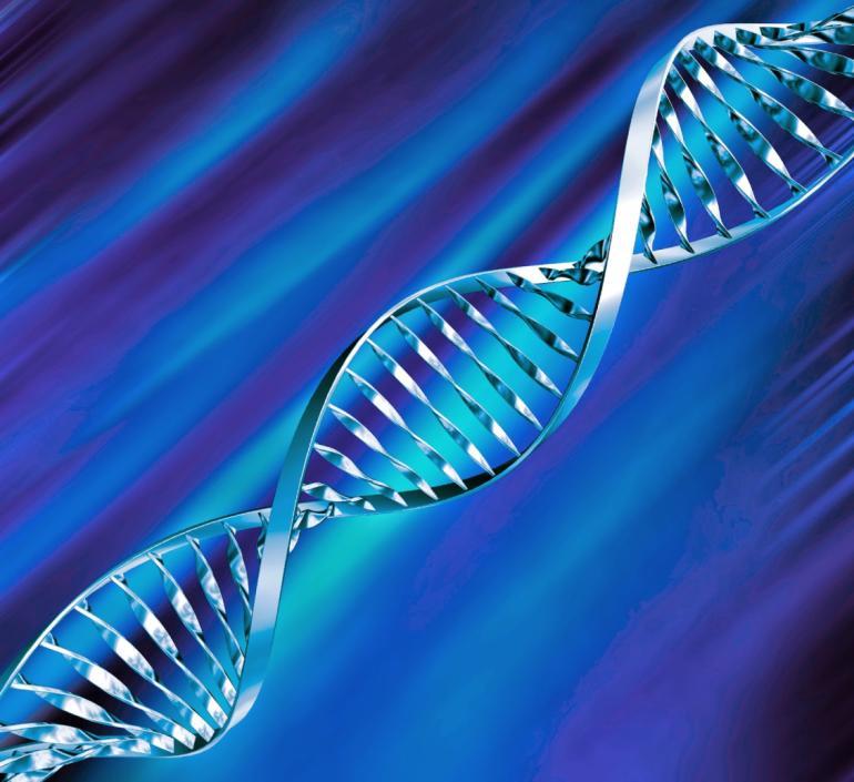 A feltárt DNS A DNS több, mint gondolod A DNS, már maguk a betűk is a magas fokú biológiai tudomány kémiájáról és komplexitásáról árulkodnak.