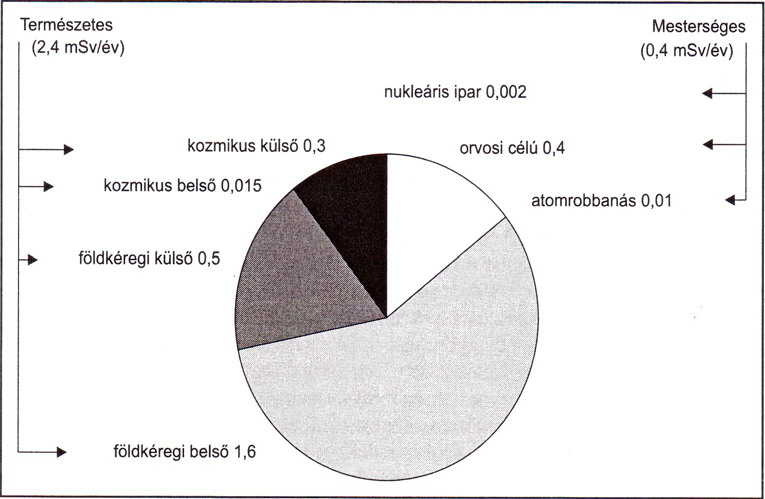 Föld népességének átlagos sugárterhelése 2,8 msv/a. Ennek nagyobb része (2,4 msv/a) a természetes háttérsugárzásból származik, amelynek 2/3 része belső, 1/3 része külső forrásokból ered (2. ábra). 2. ábra: Az emberiséget érő sugárzások megoszlása A sugárzás szervezetre gyakorolt elsődleges hatása az ionizáció.