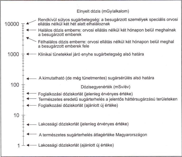 sztochasztikus hatás.