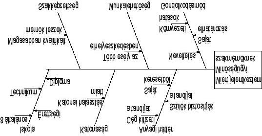1. Halszálka (Isikawa, Ok-hatás)diagram 1.1. Miért jöttem minõségügyi szakmérnök szakra?