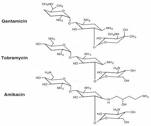 sejtfalszintézis gátló fehérjeszintézis gátló nukleinsavszintézis gátló béta-laktámok, glycopeptidek, (cycloserin, bacitracin) aminoglikozidok, tetraciklinek, tigecyclin, linezolid, streptograminok,