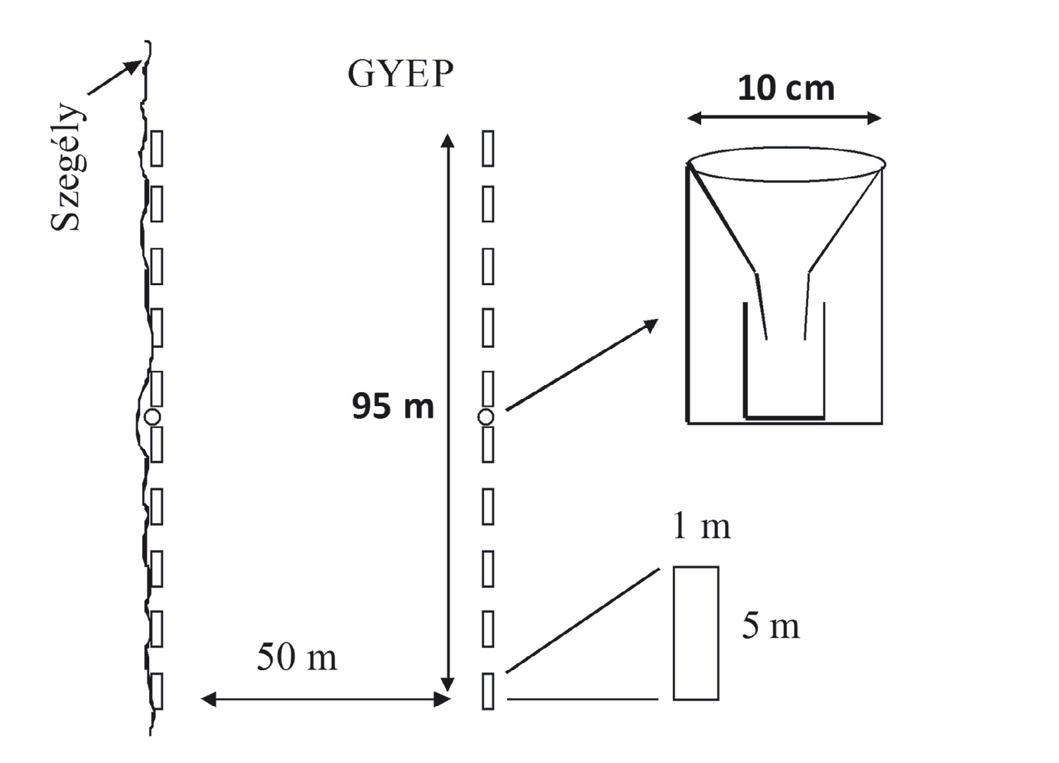 Legelés hatása alföldi gyepek biodiverzitására 251 et al. 1999).