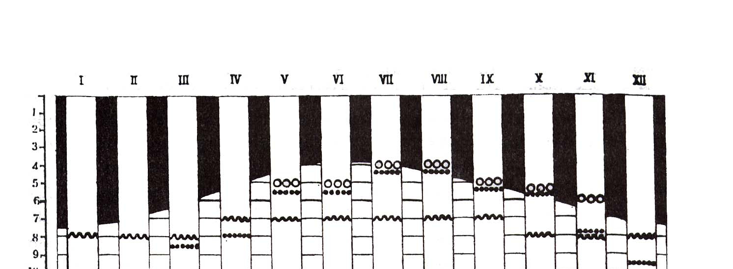 2. ábra Átány község változó napi idıbeosztása az 1950-es években (Forrás: Fél Hofer, 1997) A tizenkét