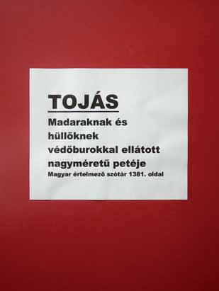 Kosuth kiállított egy széket, mellette egy szék fotóját, majd értelme zô szótárbeli alakját, meghatározását. Fogalmivá vált a világ jelezte. Az Üzenet Kosuthnak visszajelzés.
