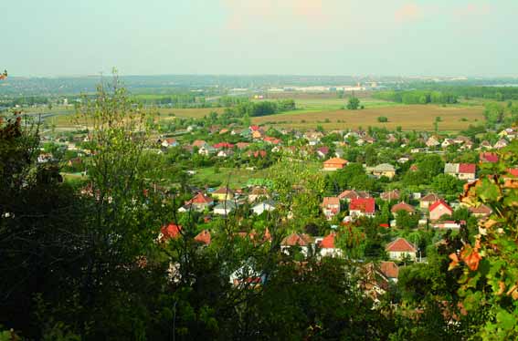 Löszfal