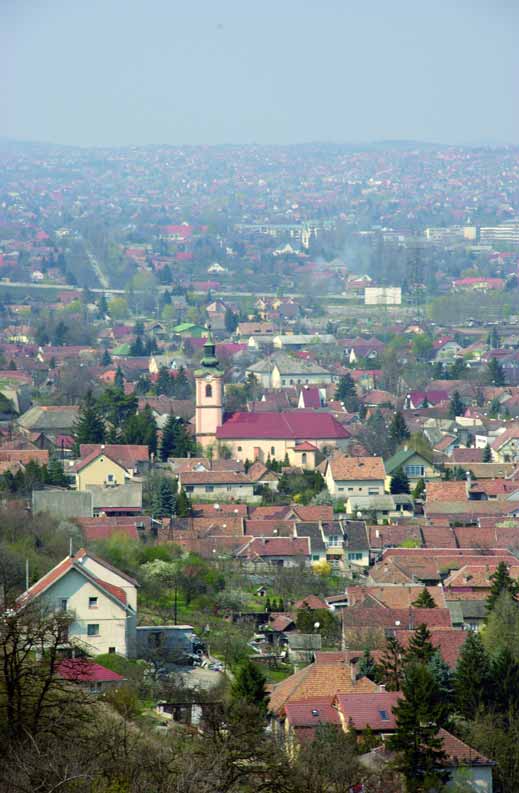Orlai