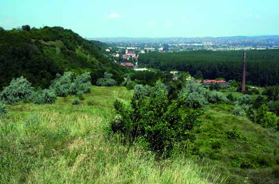a Sánc-hegyrõl