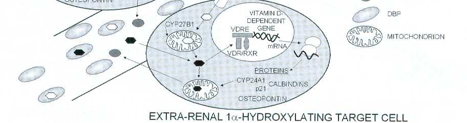 disease and