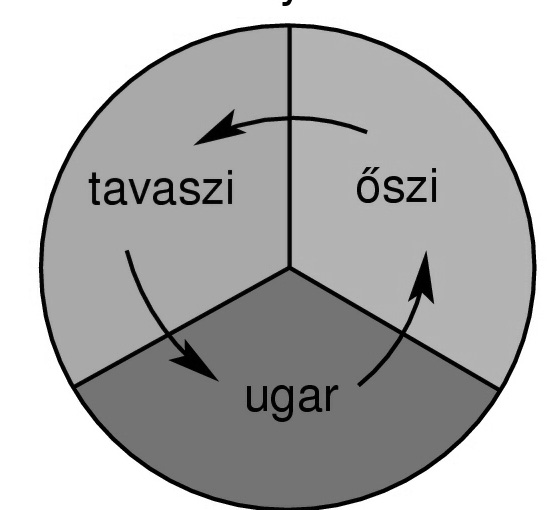 ) A B C szántó ugar tavaszi őszi ugar a) A művelés alá vont területet kimerülésig használták, majd másutt új területet törtek fel:.
