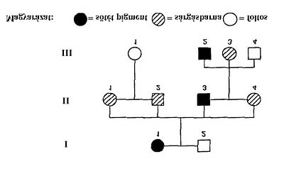 11. Egy házaspárban az apa AB, az anya 0 vércsoportú. Két gyermekük születik, közülük az egyik A, a másik 0 vércsoportú. Az apa válókeresetet ad be, mert szerinte az egyik gyermek nem lehet az övé.