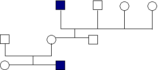 b) c) 22. A hemofília X kromoszómás recesszív allél által meghatározott betegség. A normális véralvadáshoz domináns allél jelenléte szükséges az X kromoszómán.