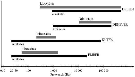 121. feladat A következő ábra azt mutatja, hogy az ember és néhány állat milyen frekvenciatartományban érzékel, illetve bocsát ki hangokat.