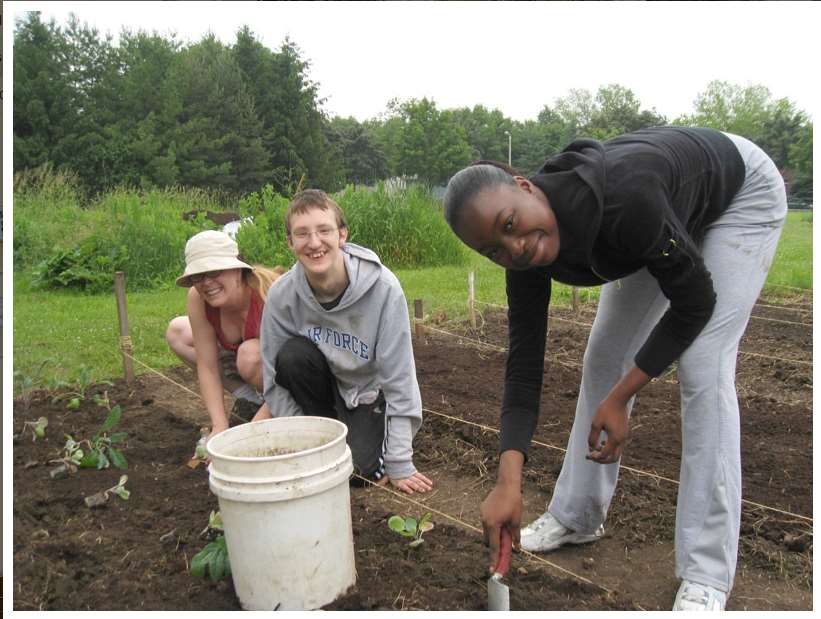 YOUTH GROW LOCAL A projekt tevékenység megnevezése: A szervezet neve: Youth Grow Local CommunityGroundworks A szervezet címe: 3601 Memorial Drive, Suite 4, Madison, WI 53704 A szervezet honlapja: