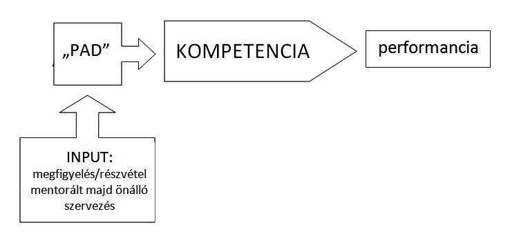 rejtett tudás, funkció, illetékesség, feladat-megoldási képesség, nem reflexív, nem tudatos, nem