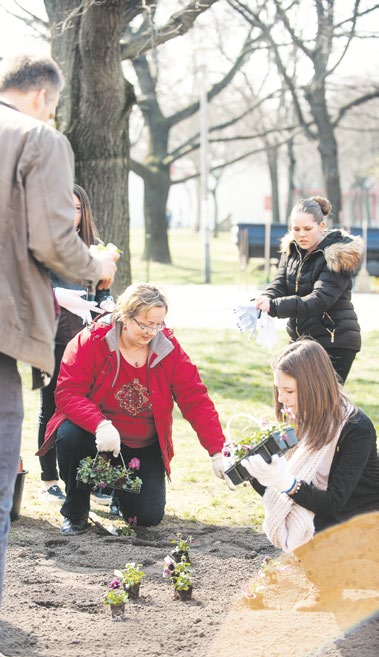 Tehetségkutató Egyesület elnöke.