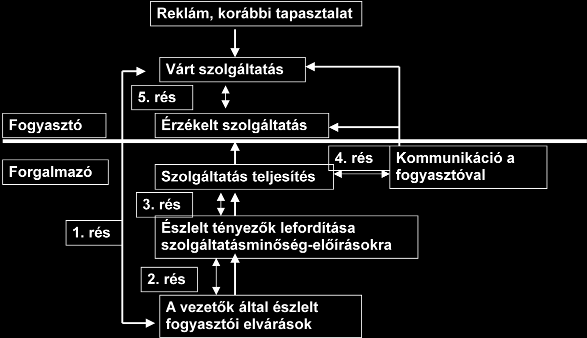 különbözeteivel foglalkoznak.