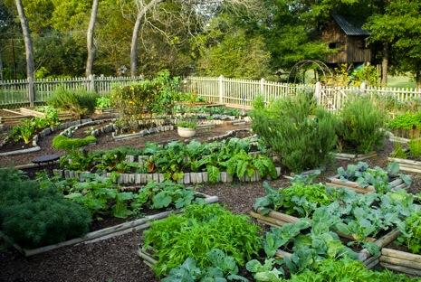 lakosság elmúlt évtizedekben kialakult szemléletét, miszerint lakóházuk, kertjük udvarán kizárólag füvet nyírjanak, és a szükséges zöldségeket