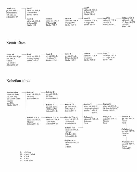 Siglavy-törzs Jussuf-törzs Kemir-törzs Koheilan-törzs AA = Anglo-Arab B.