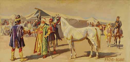 1526-tól, egészen 1686-ig, amikor Buda vára felszabadult a török uralom alól, nagyon sok kiváló keleti, török és arab ló került hadi zsákmány, csere vagy vásárlás útján magyar kézbe.