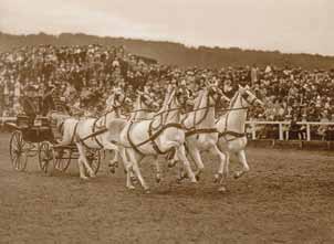 miniszteri osztálytanácsos és Tibor (1935). A kancák: 69. Siglavy utasítása szerint ápolóikkal együtt helyettes államtitkár, dr.