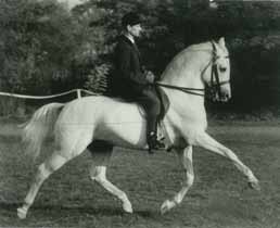 «Corso» holsteini szürke herélttel; Corso Willi Melligerrel az 1987-es St. Gallen-i díjugrató Európa-bajnokságon hetedik lett. Korának egyik legjobb ugrólova volt.