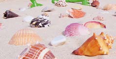 maxs strandhomok 0,1-0,8 mm PE-zsák 25 kg 45 90 04179 80026 4 1350 kg/m 3 Gyönyörű tengeri kagylók és színes kövek mosott játszóhomokban. A strandhomok élményét nyújtja a gyerekek számára.