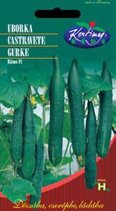 . 608325 joker f1 Hibrid salátauborka! Gyors növekedésű, erőteljes lombozatú, túlnyomóan nővirágú, középkorai salátauborka hibrid.