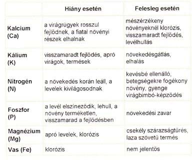 K E R T I T Ö R P E FECSKE TAVASZI TEENDŐK A szobanövényeink idővel megunják a cserepüket. Egyrészt felemésztik a virágföld tápanyagait, másrészt kinövik a földlabdájukat.