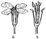 SZIMMETRIA