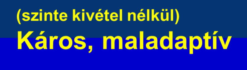 Hasznos védő adaptív ha akut Nociceptív (mechanikus gyulladásos, visceralis) de káros, ha krónikus Fájdalom típusok 1 Agy Agy.