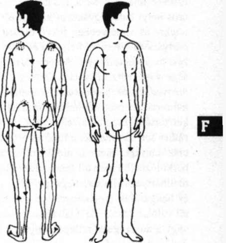 83 Felsőtestleöntés Felfekvés (decubitus): a felfekvés azokat a legyengült betegeket veszélyezteti, akik hosszú ideig ágyhoz kötöttek, azokon a testrészeken alakulhat ki, ahol a kiugró csontokat csak