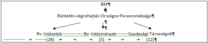 BEVEZETÉS A büntetés-végrehajtási szervezet informatikai támogatásának történetében mérföldkőnek számít a Felelősen, felkészülten a büntetés-végrehajtásban elnevezésű, EKOP-1.