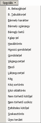 Szövegszerkesztés MS Word XP A Keresés és csere panel lehetőséget nyújt speciális