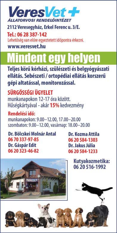 Reklámozza cégét, szolgáltatását nálunk, mert ezt biztos elolvassák INGATLAN + Gödöllő, kiemelt övezetben, a Kastély közelében, 2 szintes, 4 szobás, 2 fürdőszobás családi ház gondozott kerttel,