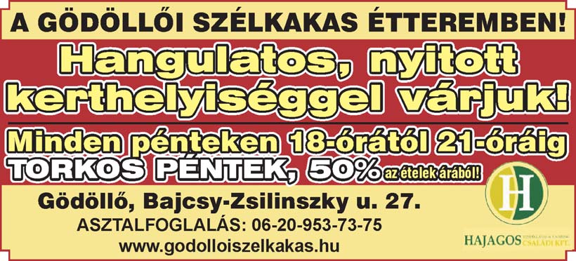 14 Gödöllői Szolgálat 2013. szeptember 10. + Zártkörűen működő részvénytársaság DARUKEZELŐ, TARGONCAVEZETŐ munkatársat keres.