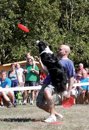 szaktanácsadás a jelenlegi és jövőbeli kutyatulajdonosok számára.