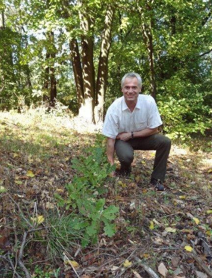 2009. Törökbálint bálványfa visszaszorítás Az erdész társadalom egyik legnagyobb kihívása Budapest és agglomerációjában az idegenhonos bálványfa térnyerése.