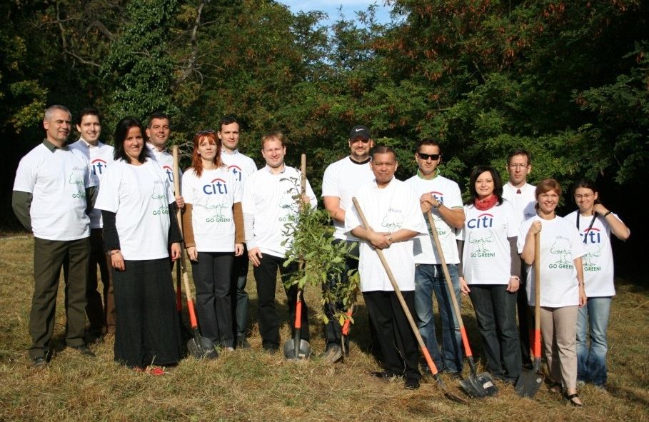 2011. Törökbálint akác visszaszorítás, széltörés rehabilitáció 2011 őszén 15 ezer cser facsemete elültetésére került sor Törökbálint erdőségeiben, a szélviharok nyomán