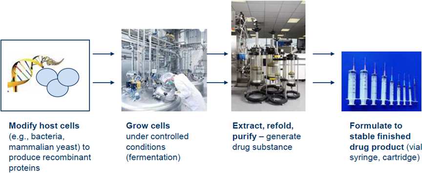 Biotechnológiai gyógyszerek fejlesztése A K+F lépésenként Gyártás szekvencia megállapítása (NBE v.