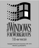 A karakteres felület hátrányait később a Windows ablakkezelő rendszer enyhítette: a grafikus felhasználói felület kényelmesebbé tette a számítógép használatát, a felhasználónak már nem kellett a DOS