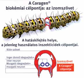 Érzékeny kártevők: Alma, körte, birs, naspolya molykártevők Cydia pomonella - almamoly Adoxophyes orana -almailonca Aknázó molyok Phyllonorychter (Lithocolletis) - almalevél-aknázómoly