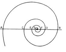 Fibonacci-spirálba rendeződnek például a fenyőtoboz és az ananász pikkelyei, a napraforgó magjai, a málna szemei, a karfiol