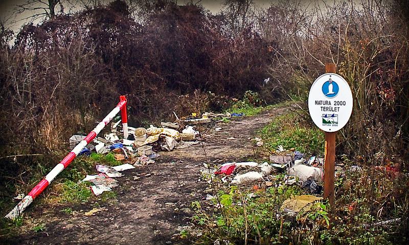 Sajnos akadnak példák, amikor hazánk nem tett eleget a Natura 2000 hálózattal kapcsolatban vállalt kötelezettségeinek: a sajóládi erdő szomorú esete tartozik ide.