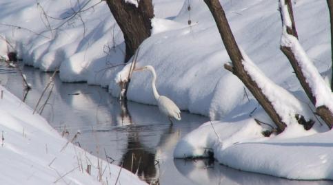 növények sokfélesége, a különböző földhasználati praktikák. Ezért a Natura 2000 területek védelmében különösen hangsúlyos a gazdálkodók, a fenntartó, hagyományos gazdálkodási módok szerepe.