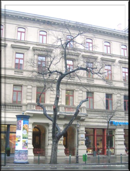 2007-ben, a fasori szakasz átfogó fasorfenntartási munkái során kivágásra került 13 db fa, vissza lett vágva 68 darab és kisebb gallyazási, metszési munkák lettek elvégezve 102 darab fán.