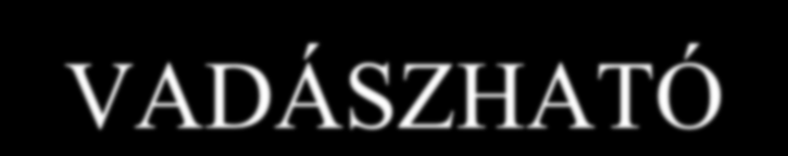 ÁLTAL OKOZOTT KÁR