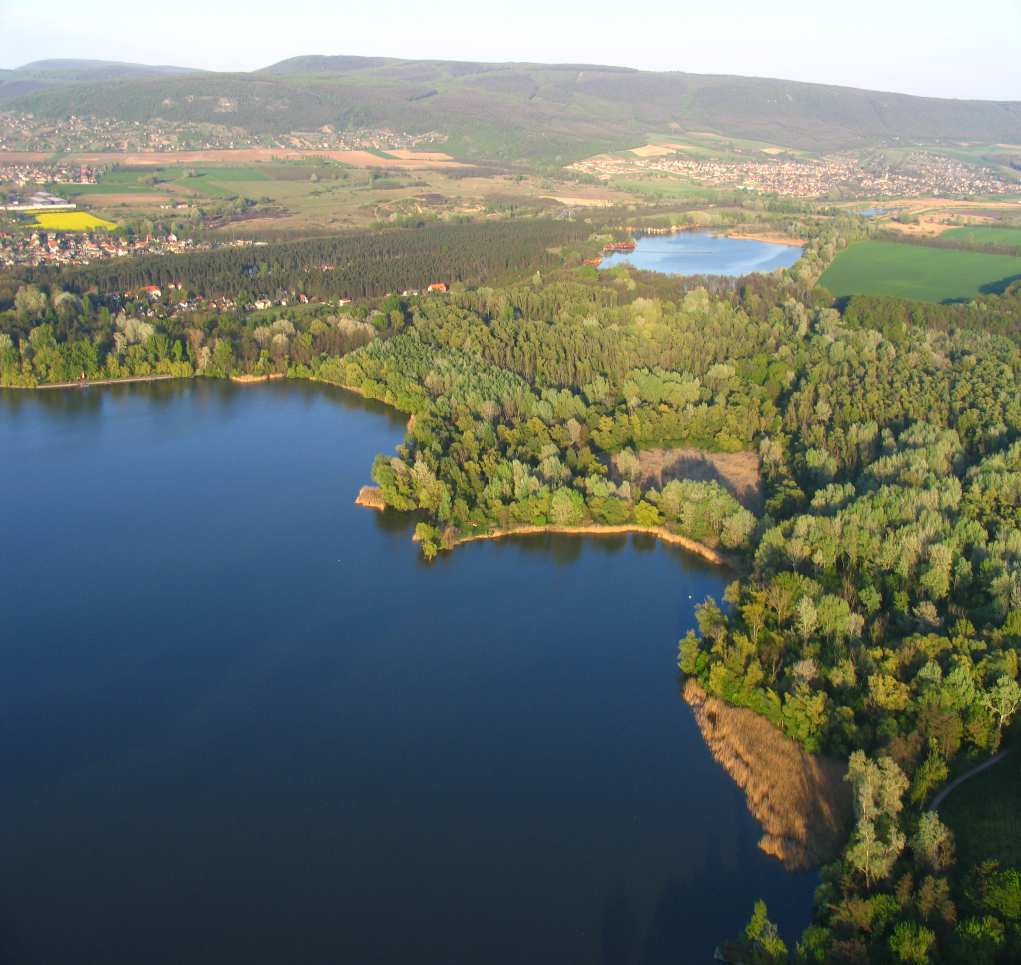 Tófarokban, vizes élőhely kialakítás: Műtárgy építés,