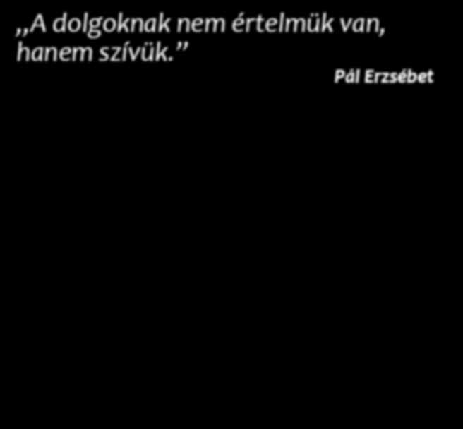 Járom a vidéket, nézegettem az értékesítéseket, s azt tapasztalom, hogy még mindig nem ismeri mindenki az aloe verát.