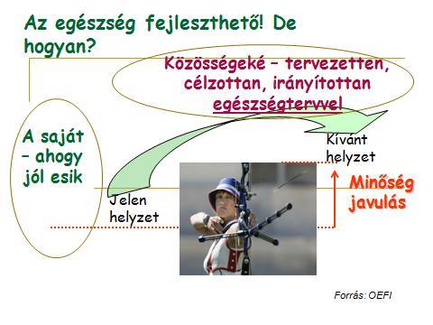 3. Az egészségterv, mint a célzott, tervezett célcsoportos egészségfejlesztés eszköze (alkalmazott módszertan) Egészséget fejleszteni mindenhol, minden közösség számára, minden korcsoportban lehet és